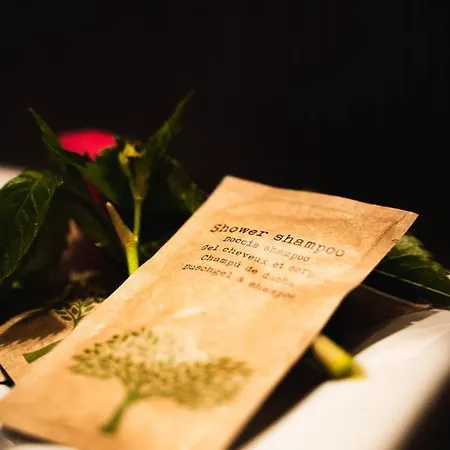 654 Bed and breakfast Szklarska Poręba