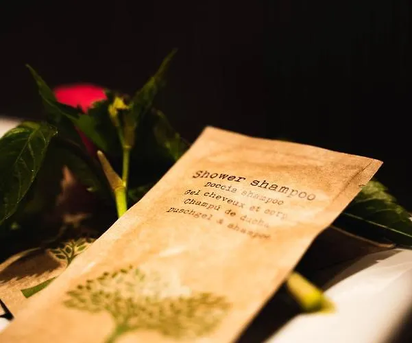 654 Bed and Breakfast Szklarska Poręba