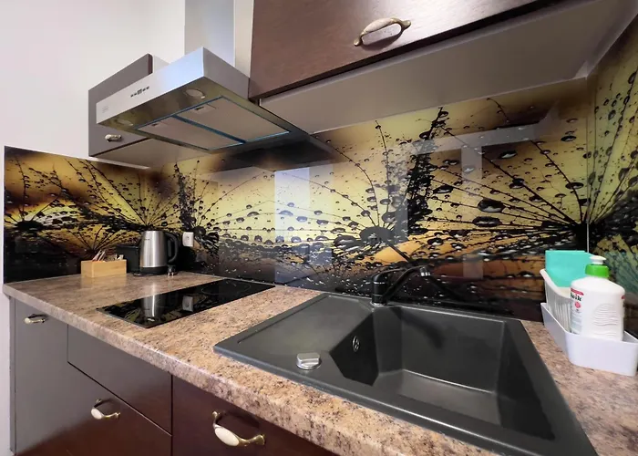 654 B&B 스클라르스카포렘바